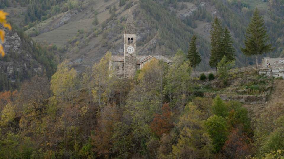 Fioritura primaverile in Valle Maira: un’esplosione di colori
